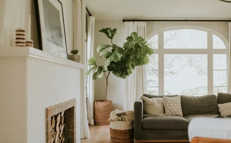 AdobeStock_341129372 (1)